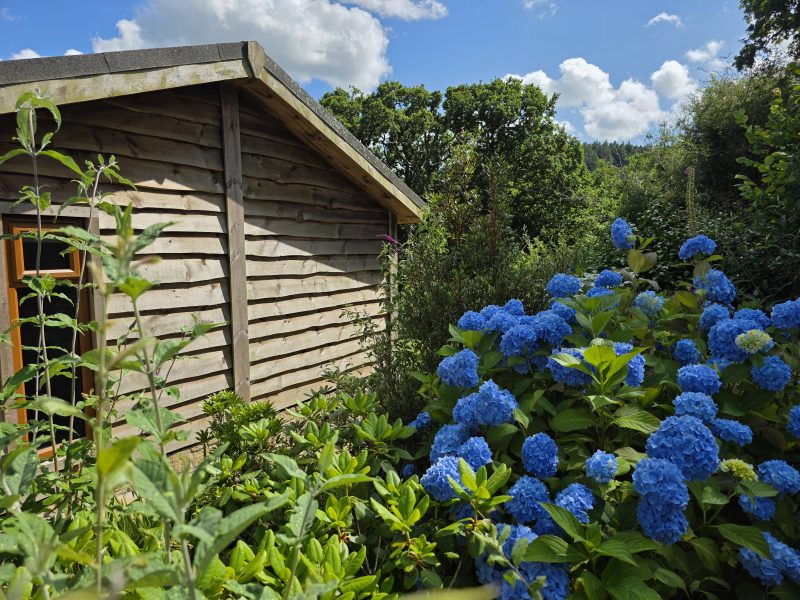 holiday lodge hire cornwall