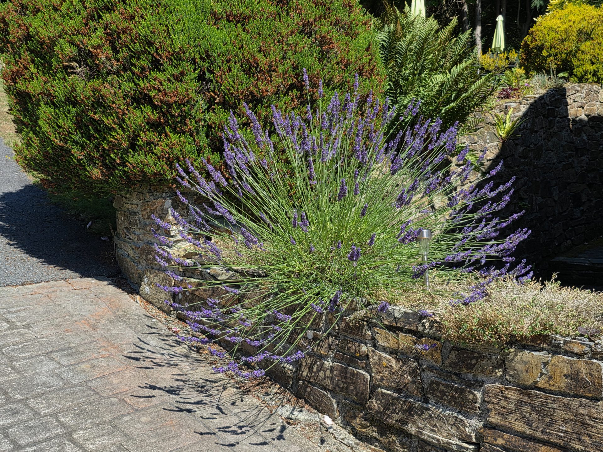 Cottage hire Cornwall