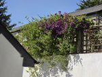 Cottage Hire Cornwall