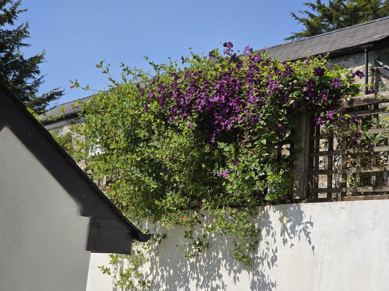 Cottage Hire Cornwall