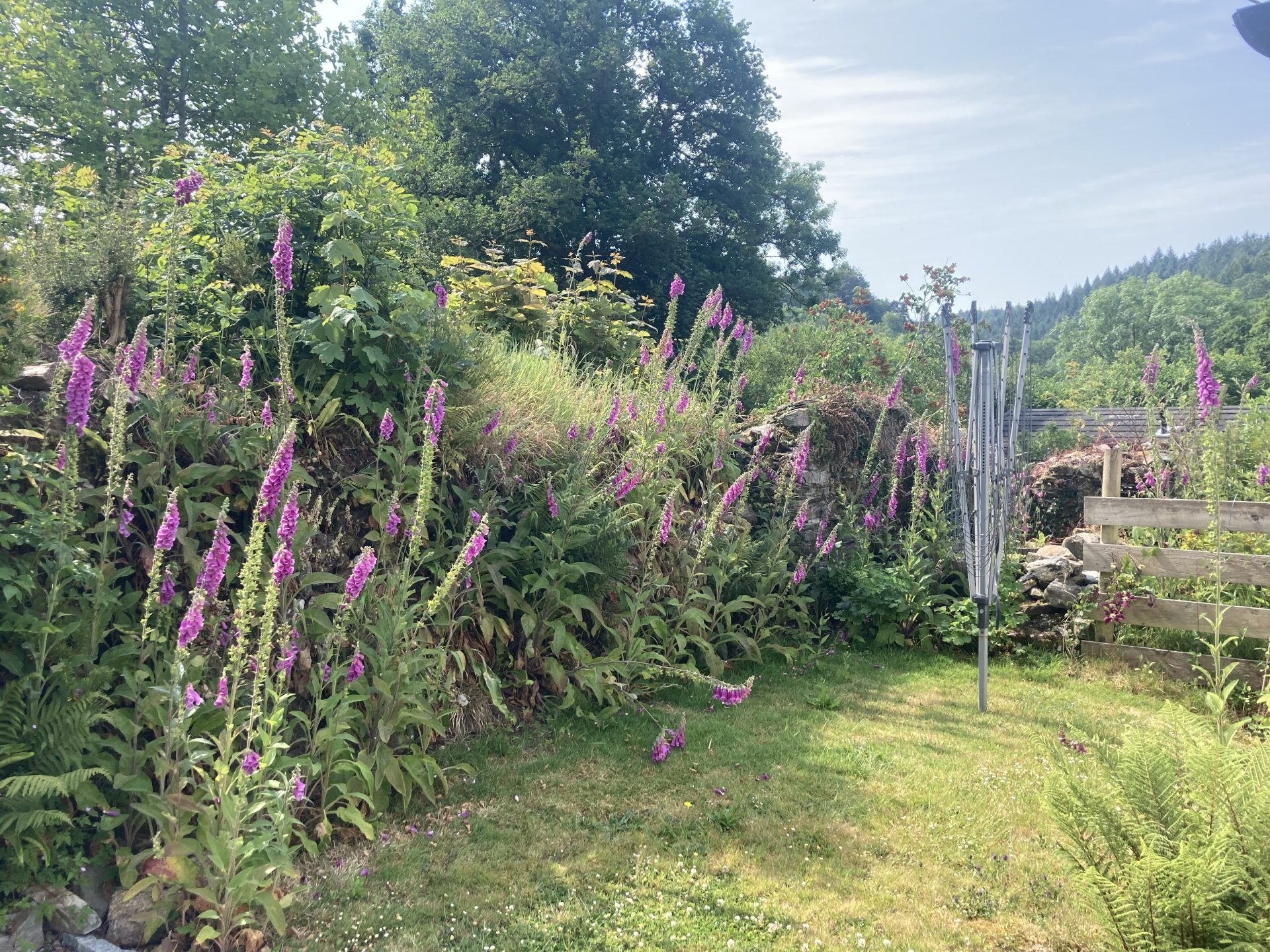 Cottage hire Cornwall