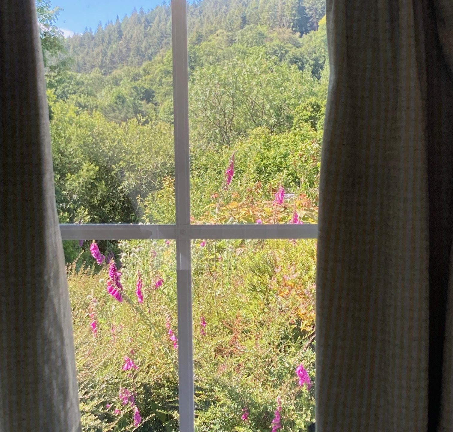 Cottage hire Cornwall