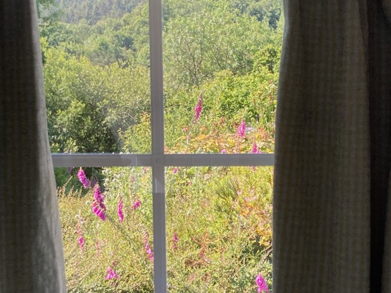 Cottage hire Cornwall