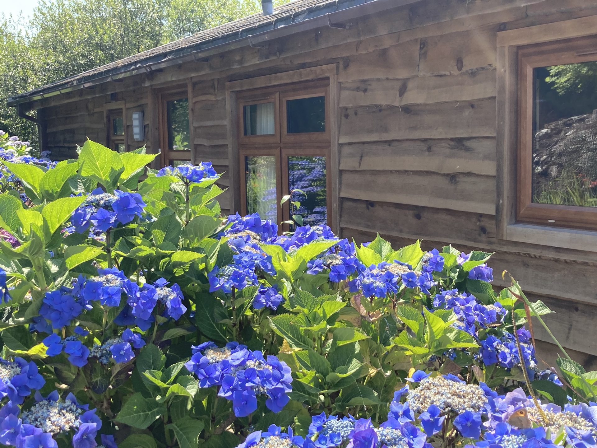 holiday lodge hire cornwall