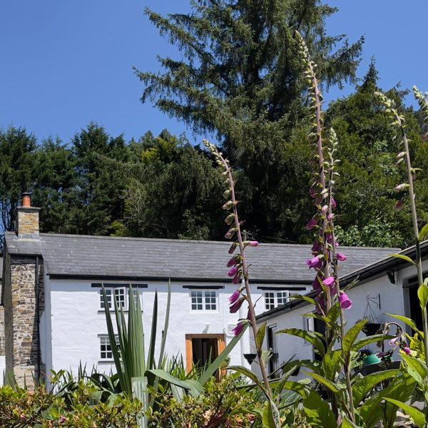 Cottage hire Cornwall