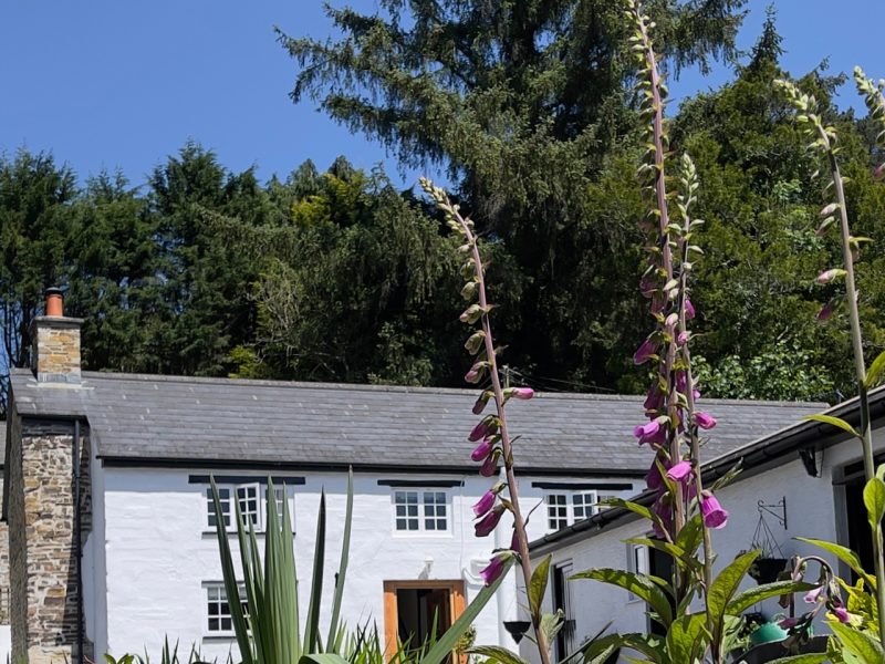 Cottage hire Cornwall