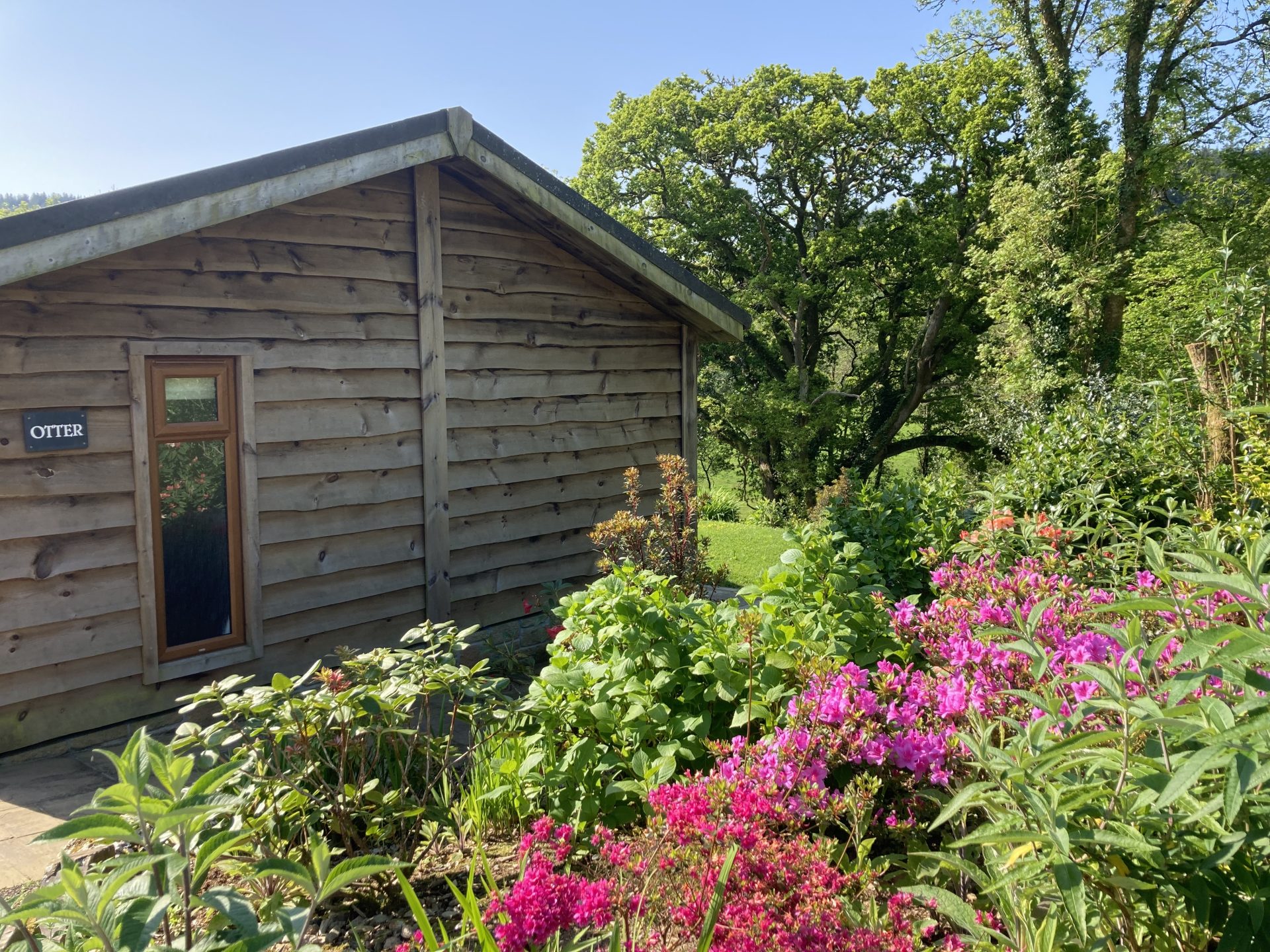 holiday lodge hire cornwall