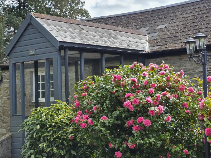 holiday cottage rental cornwall