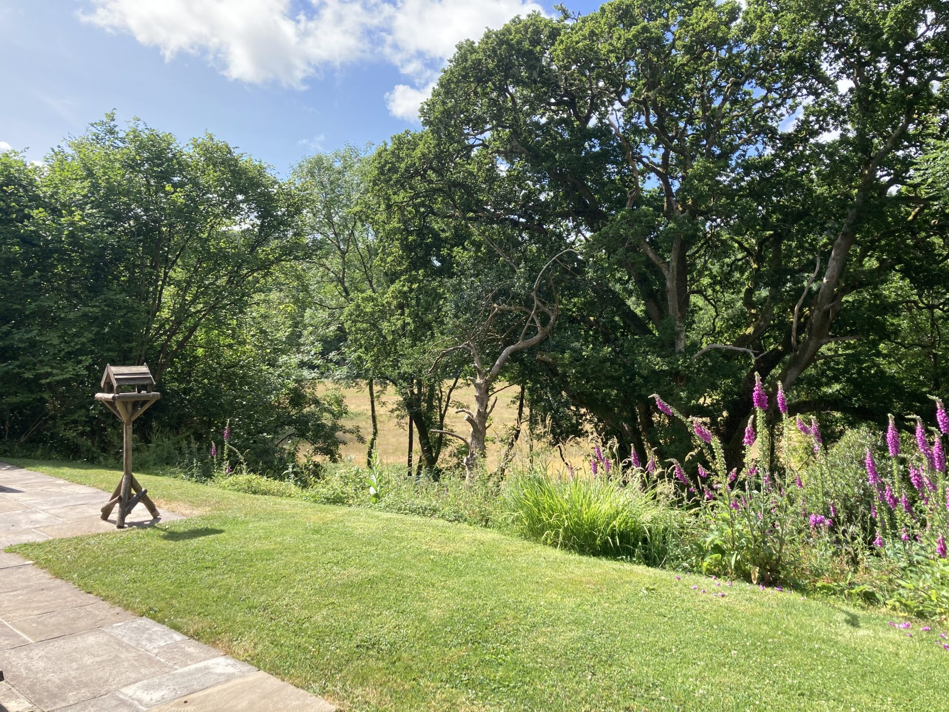 holiday lodge hire cornwall