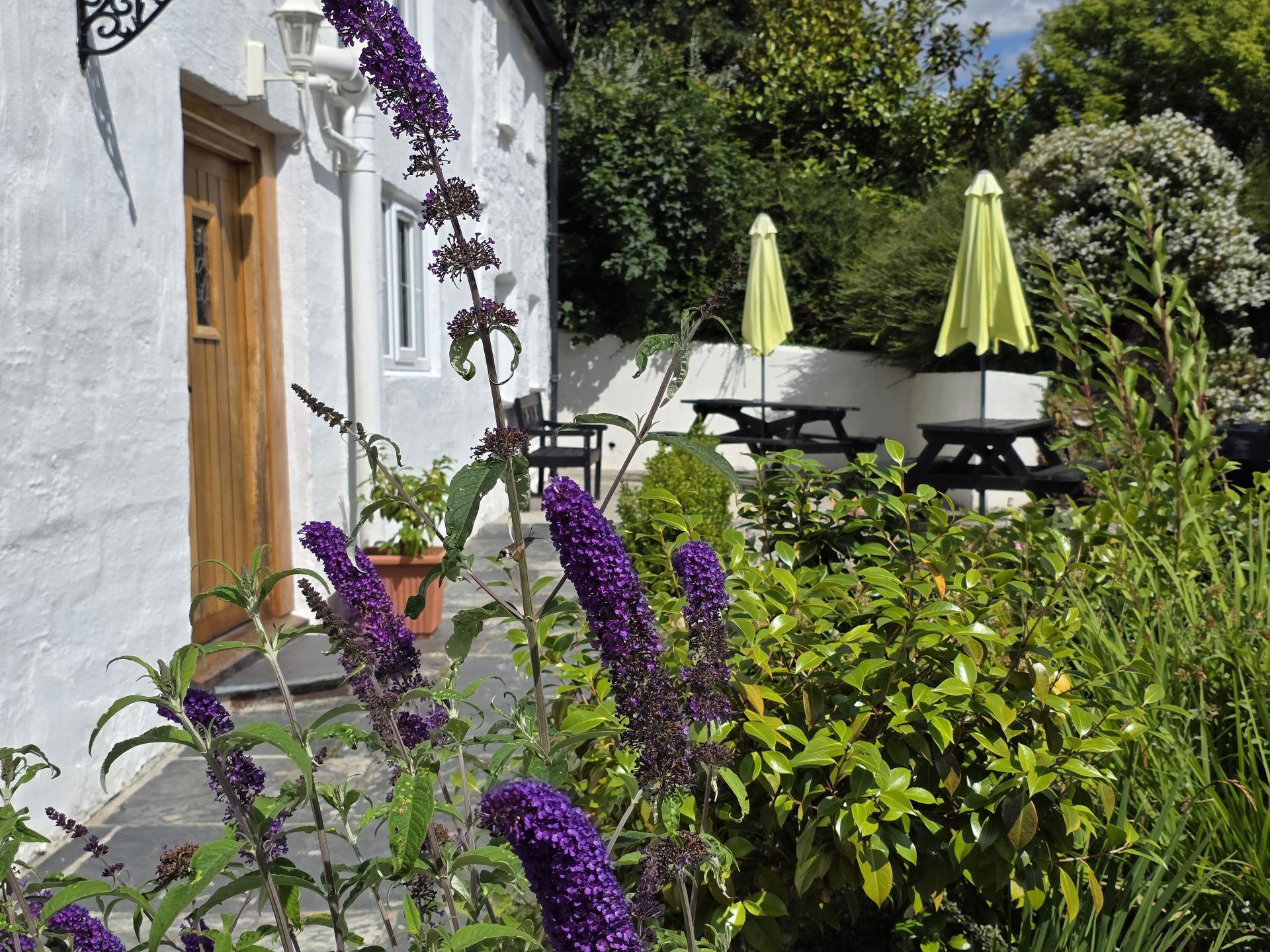 Cottage Hire Cornwall