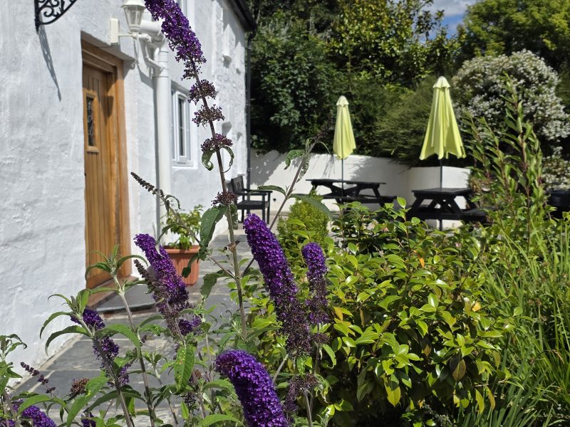 Cottage Hire Cornwall