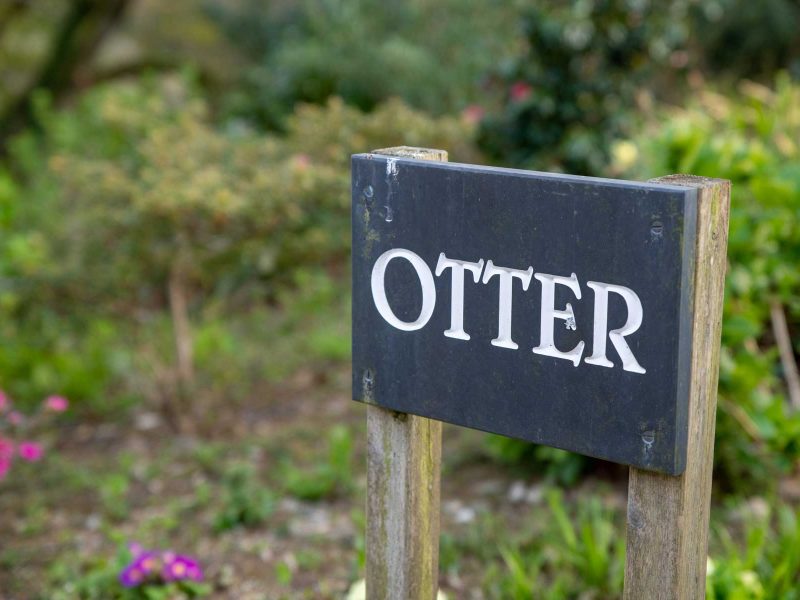 holiday lodge hire cornwall