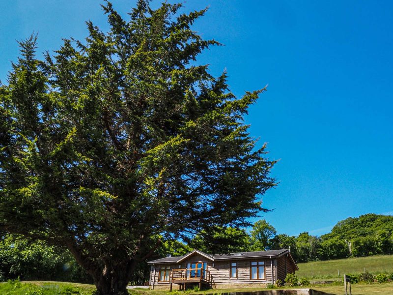 holiday lodge hire Cornwall