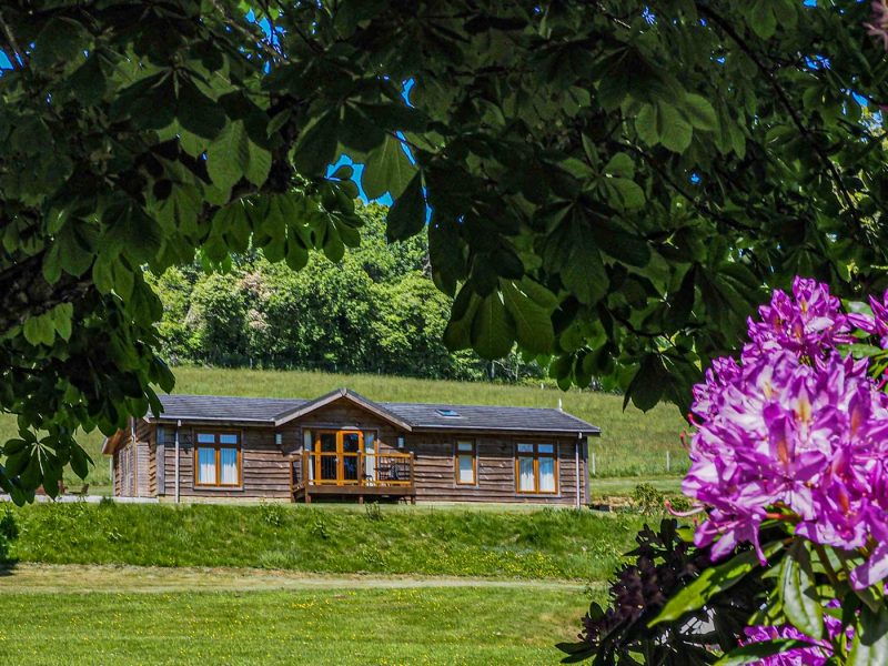 Owl Lodge on the hillside looking towards the valley