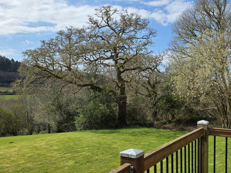 holiday lodge rental cornwall