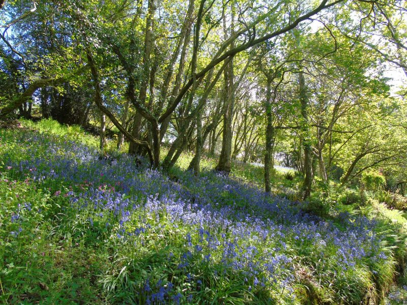 cottage hire Cornwall
