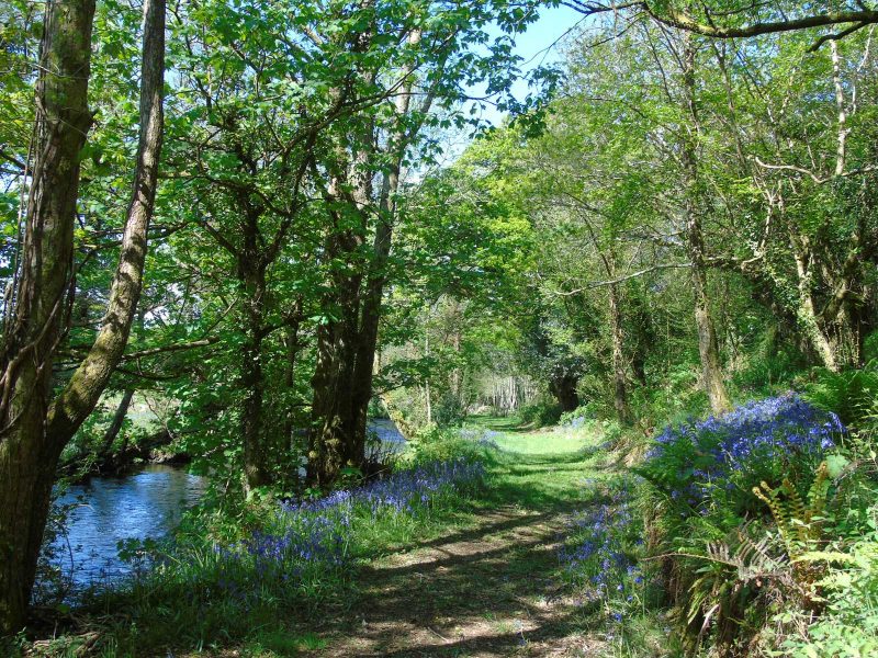 cottage hire Cornwall