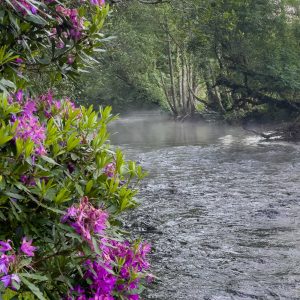 Looking After Our Environment