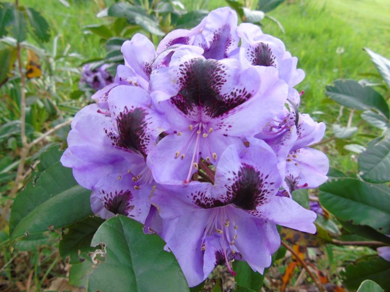 cottage hire Cornwall