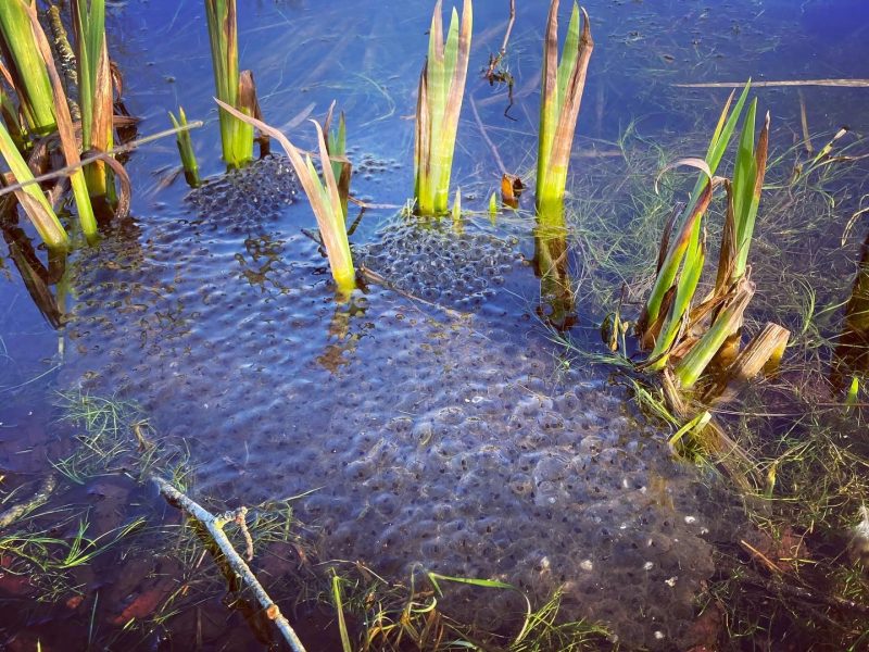 cottage hire Cornwall
