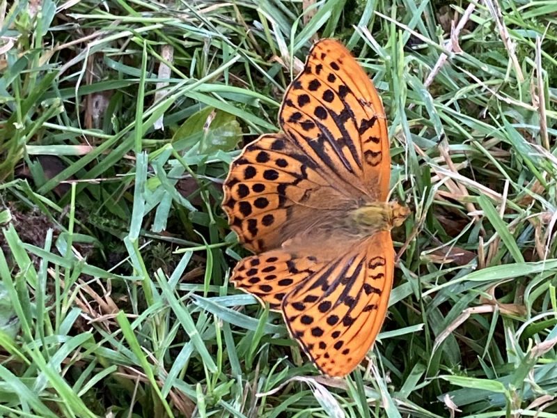 cottage hire Cornwall