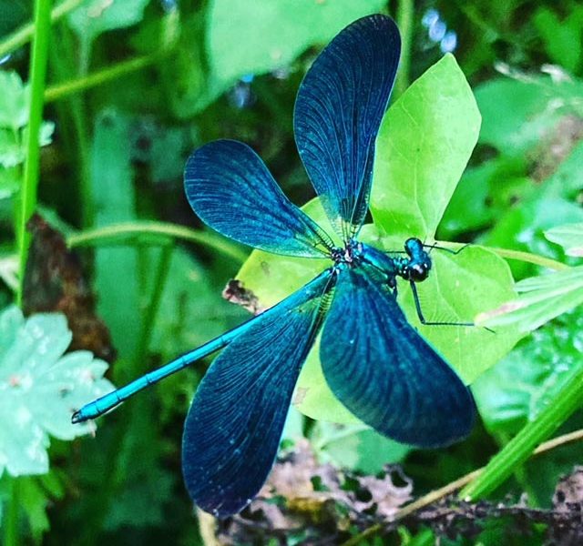 cottage hire Cornwall