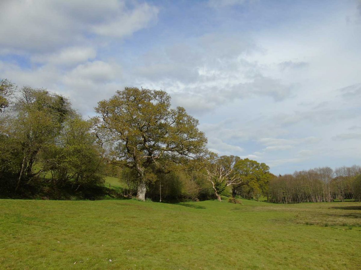 Important Information Before Booking!