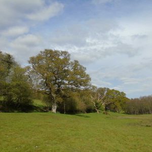 Important Information Before Booking!