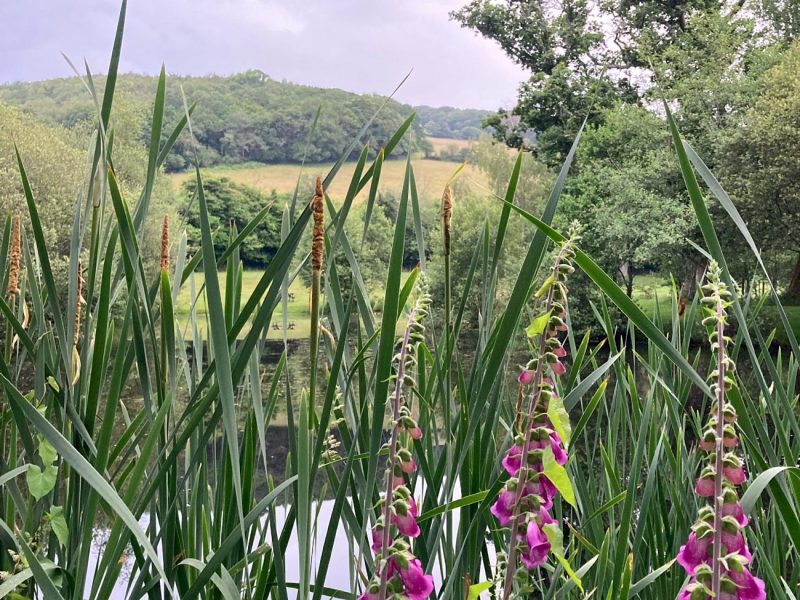 cottage hire Cornwall