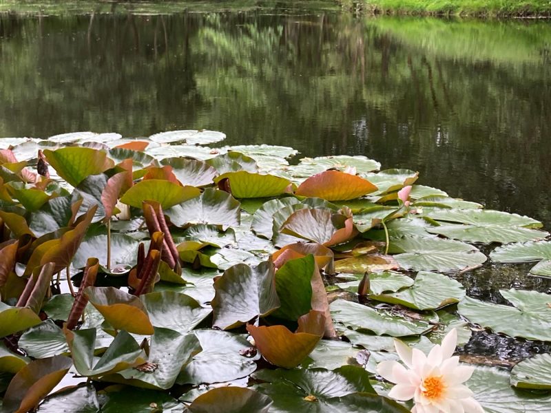 cottage hire Cornwall