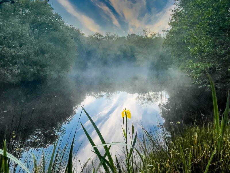 cottage hire Cornwall