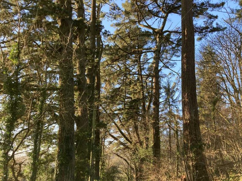 cottage hire Cornwall