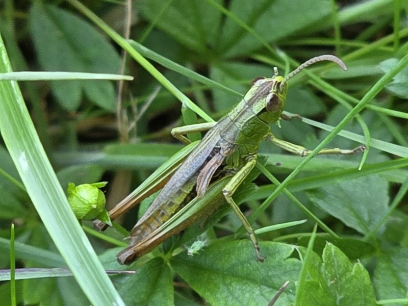 Cottage hire Cornwall