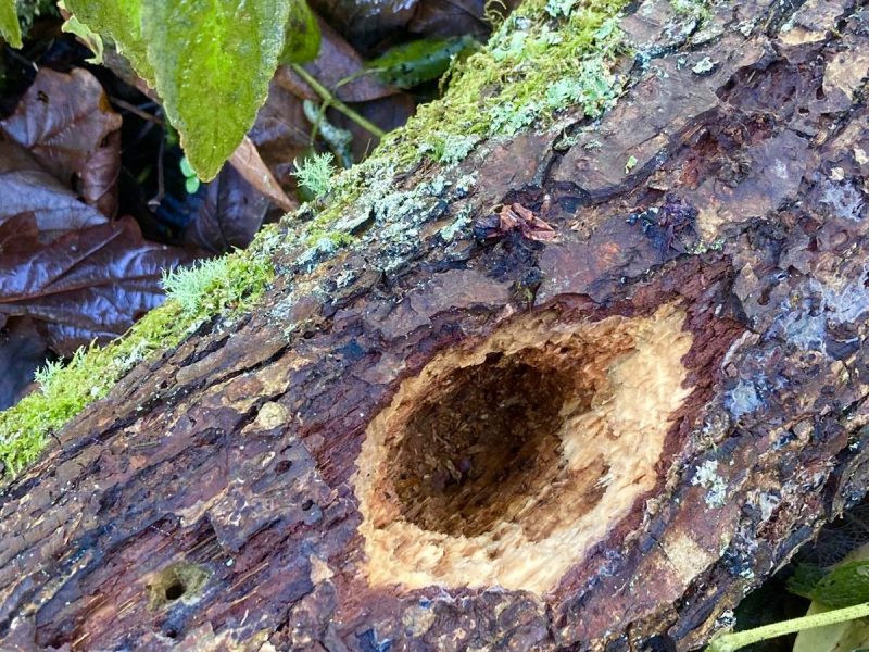 Cottage hire Cornwall