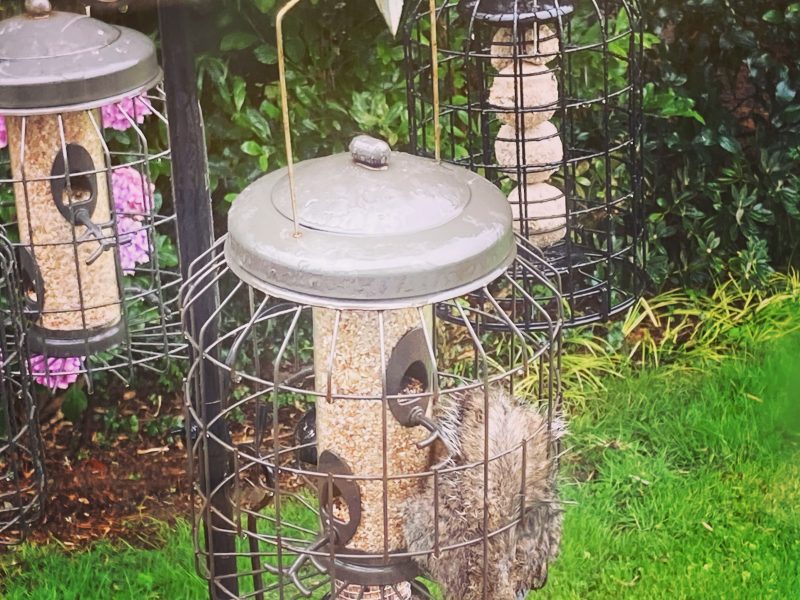 Cottage hire Cornwall