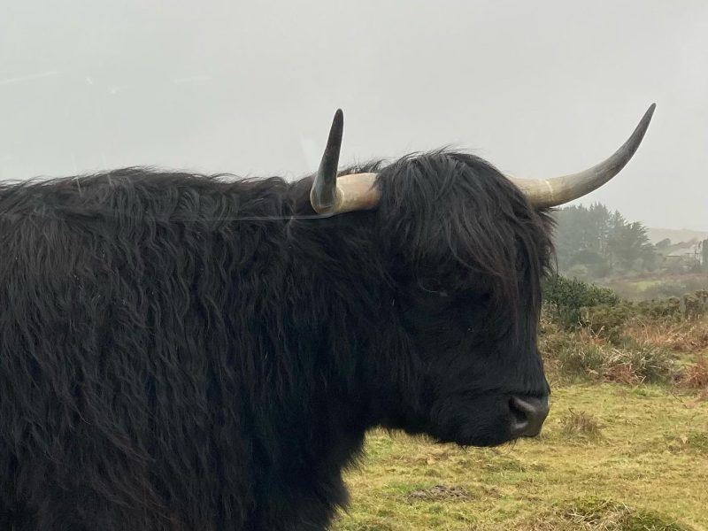 cottage rental Cornwall