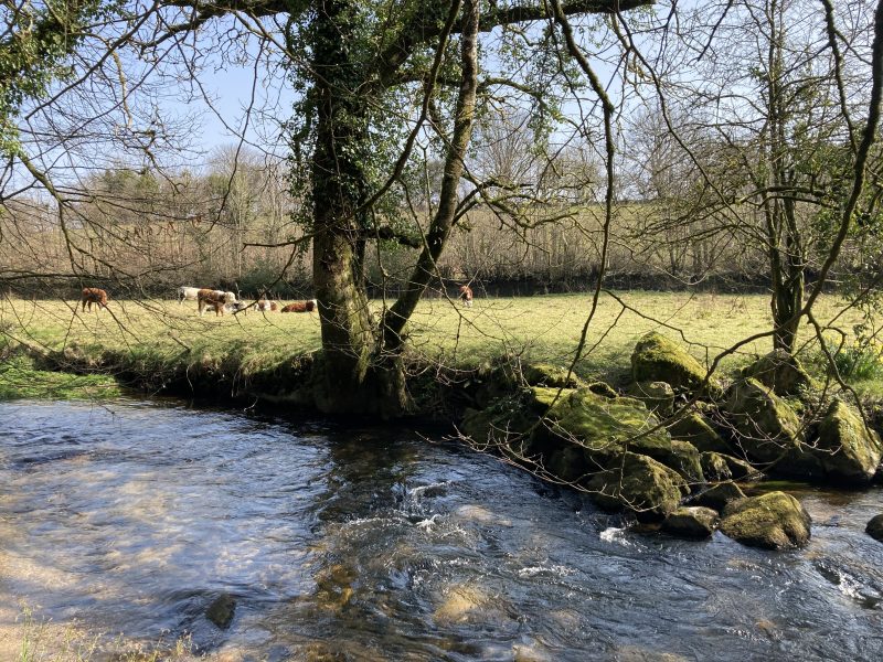 cottage hire cornwall