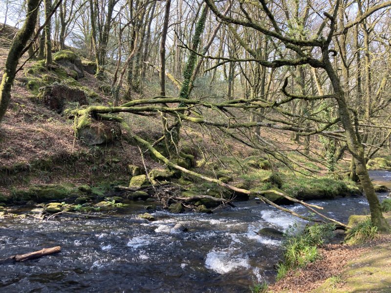 cottage hire cornwall