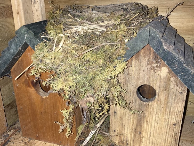 Cottage hire Cornwall