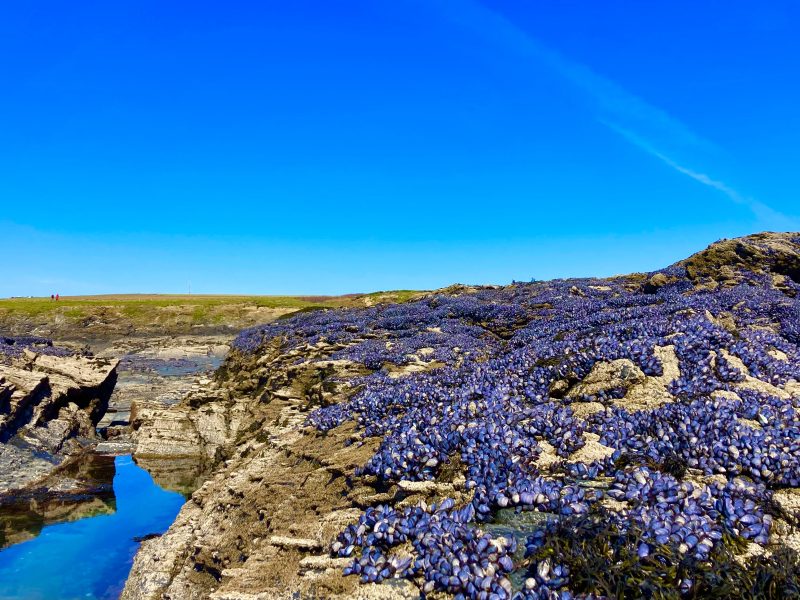 cottage hire cornwall