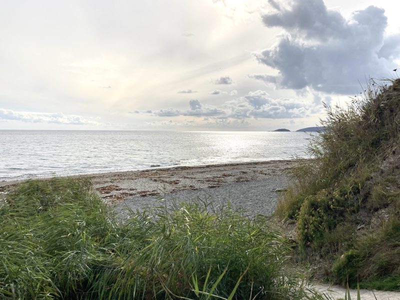 lodge to rent cornwall