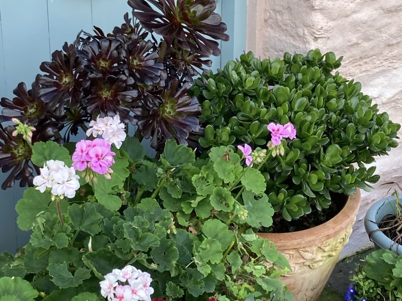 cottage hire cornwall