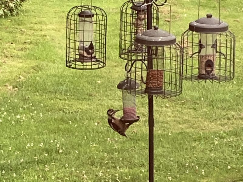 Cottage hire Cornwall