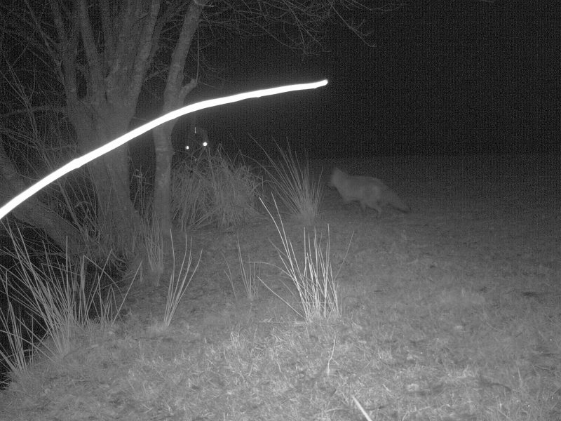 Cottage hire Cornwall