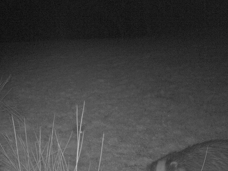 Cottage hire Cornwall