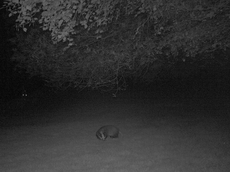 Cottage hire Cornwall