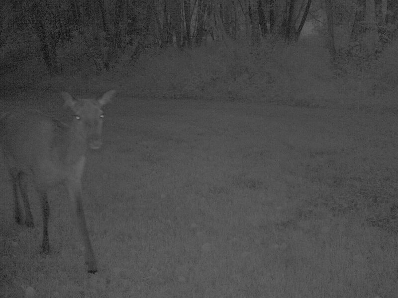 Cottage hire Cornwall