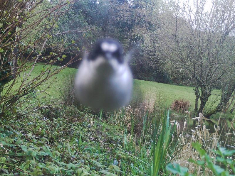 Cottage hire Cornwall