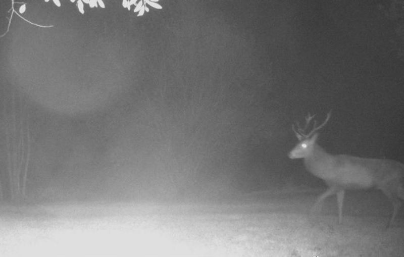 Cottage hire Cornwall