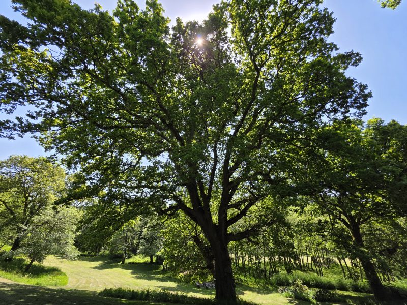 holiday cottages in Bodmin Cornwall